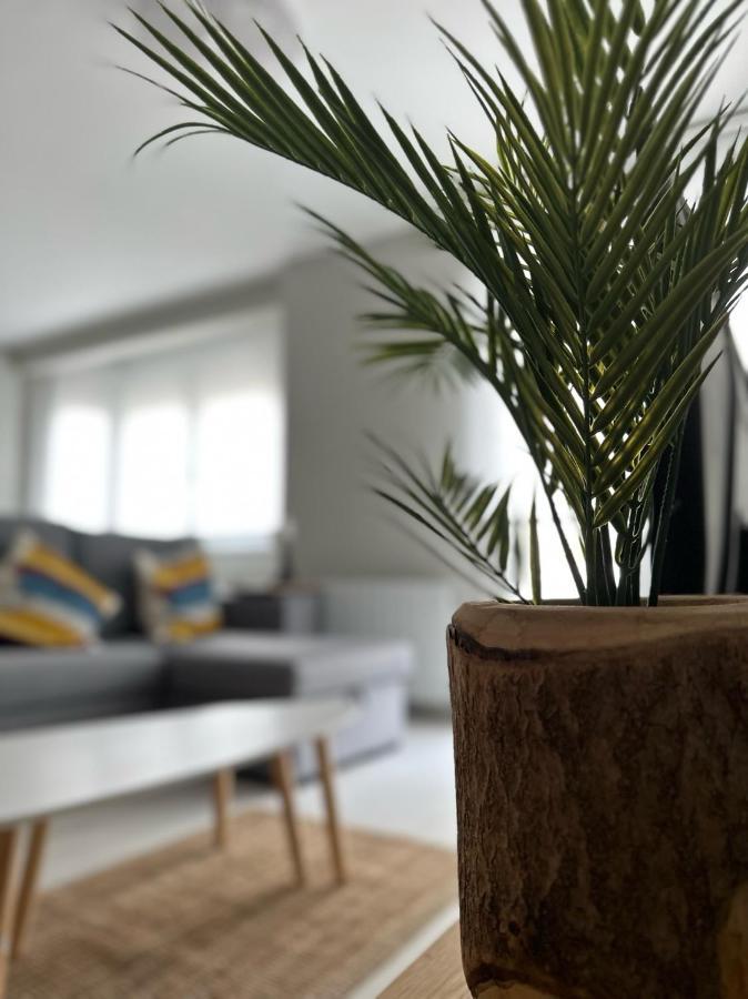 Plentzia, Junto Al Puerto Apartment ภายนอก รูปภาพ